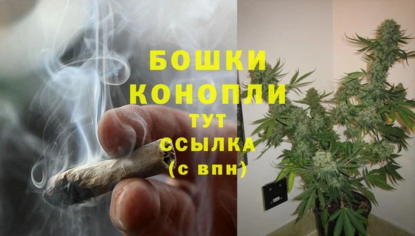 PSILOCYBIN Дмитровск