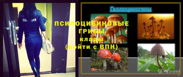 прущий лед Дмитров